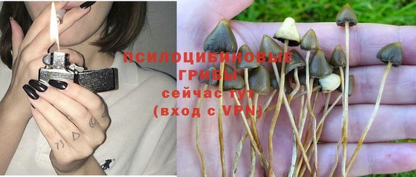 прущие крисы Аркадак