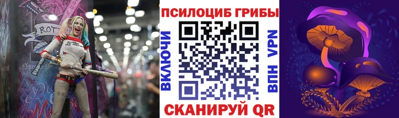 Псилоцибиновые грибы Psilocybe закладки Верхняя Салда